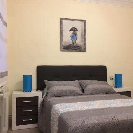 Cozy apartment next to Puerta de San Pedro (Roman Wall)