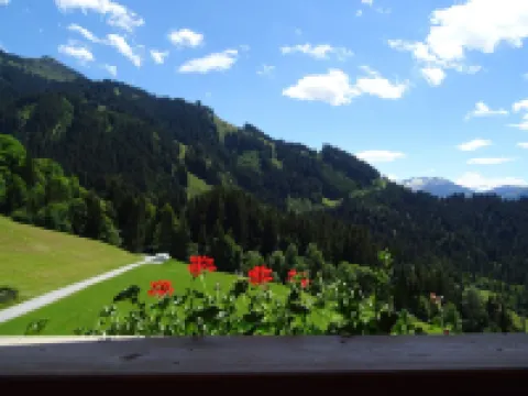 Appartement Mitten in den Bergen - Beiniglhof 韋斯滕多夫酒店