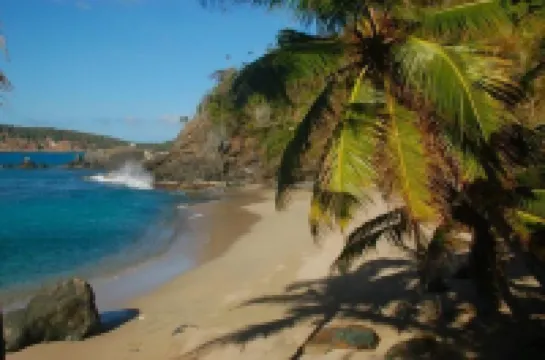 The Beach House on St. Thomas with Secluded Private Sand Beach