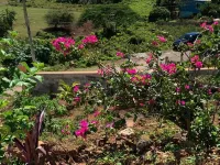 LenDeens an Affordable Hillside1BD/1BTH Apartment w/ AC and Gorgeous Oceanviews Hotel a 