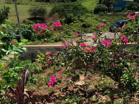 LenDeens an Affordable Hillside1BD/1BTH Apartment w/ AC and Gorgeous Oceanviews Отели в г. Олд Роуд