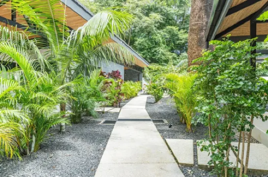 New Luxury Villa in central Guiones - walk to the beach, large pool & parking