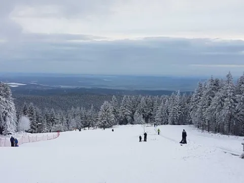 Ferienwohnung Hahnenklee mit Hund