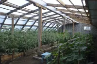 best lodge in Mongolia فنادق في 