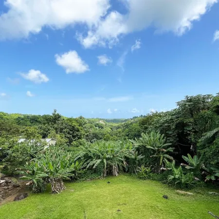 A Slice of the Rainforest! Near El Yunque and Beaches, Rio Grande Puerto Rico