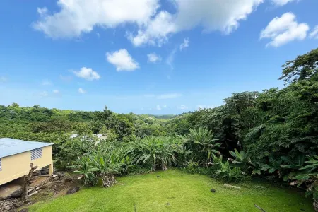 A Slice of the Rainforest! Near El Yunque and Beaches, Rio Grande Puerto Rico