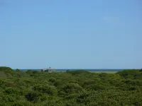 Ocean-View Oasis: Privacy - Close to Beaches & Sconset!  Vehicle Ferry Available