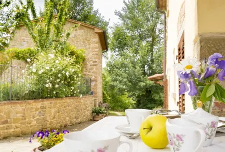 Old farmhouse surrounded by olive groves and near the village, max 9 adults, with pool