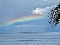 Also see our other house listing #692517 with a pool.  NEW HOME ON THE BEACH.