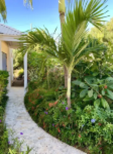 Arco Iris~3 Private King Suites, AC, Private Pool, Ocean Views, well appointed! فنادق في 