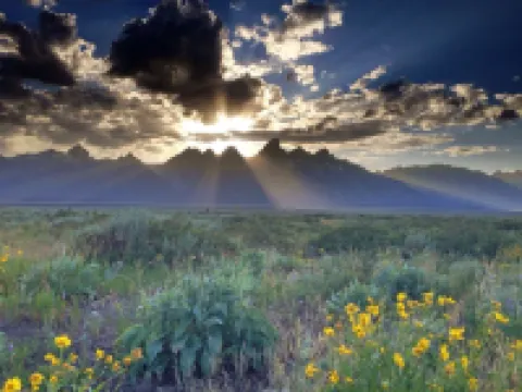 Jackson Hole Condo, 5 Miles from Grand Teton National Park,4 miles to ski resort Hotels in Moose Wilson Road