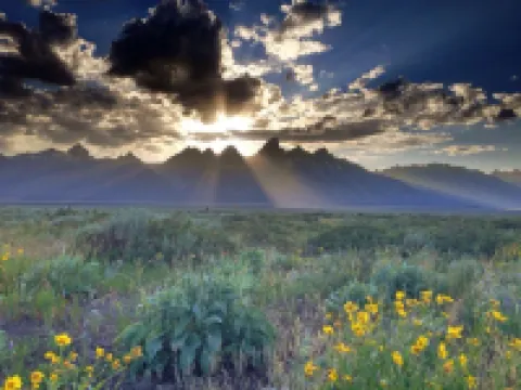 Jackson Hole Condo, 5 Miles from Grand Teton National Park,4 miles to ski resort