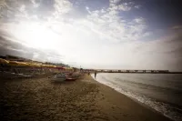 Hotel Daisy Hotels in Marina di Massa