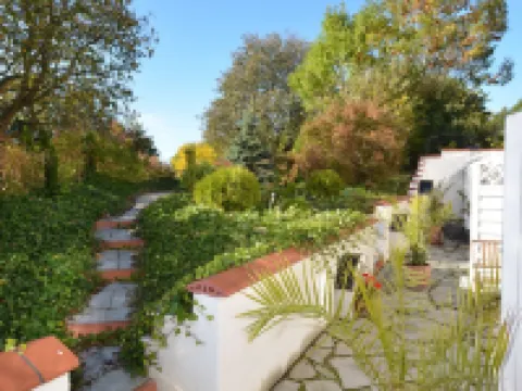 Solrosen I Simrishamn - Österlen シムリスハムンのホテル