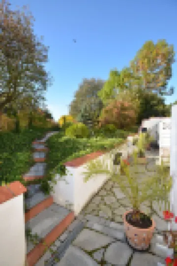 Solrosen I Simrishamn - Österlen