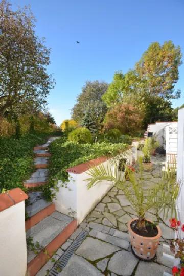 Solrosen I Simrishamn - Österlen