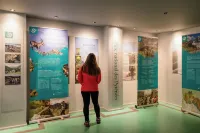 Hôtel le Bois Joli Hotels in Cauterets