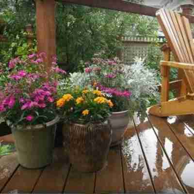 Alaska's Capital Inn Bed and Breakfast Hotel Exterior