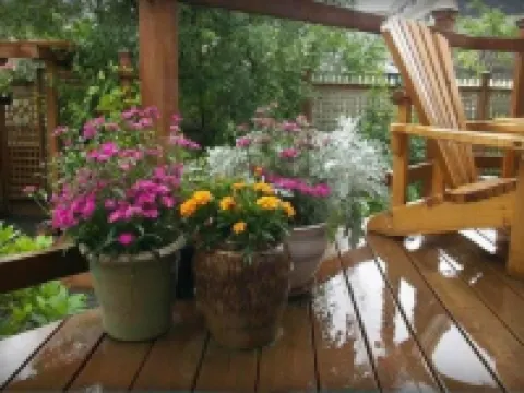 Alaska's Capital Inn Bed and Breakfast Hotels in Juneau