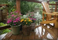 อะแลสกาส์ แคปปิทอล อินน์ เบดแอนด์เบรคฟาสต์ โรงแรมใน