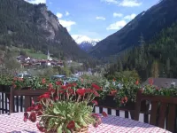 Hotel Schöntal - Mountain view