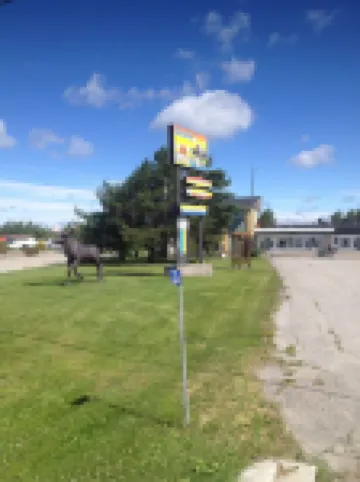 Moose Motel