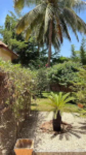 Superb Villa Private Pool and feet in the sea Hoteles en 