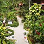 Hotel Belvedere Playa Samara Costa Rica