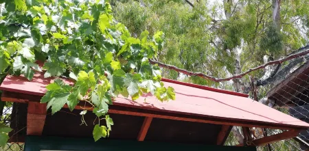 Camping Valle dei Templi