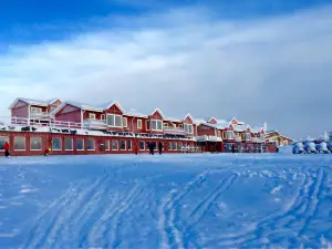 살렌스 회그피얄호텔