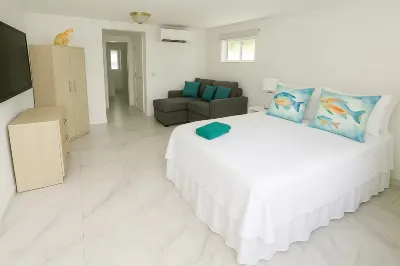 NEW ! Palm Beach 100H