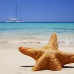 Royale Suites by Arc Royal Luxury Apts - sul mare