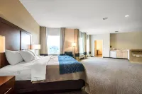 Comfort Inn Apalachin / Binghamton W Route 17