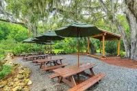 New Designer Home in the Villages: Shady Brook - 3 tähden