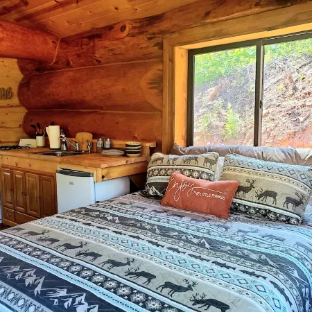 Cozy Cabin Nestled on the Side of Our 21 Acre Mountain - 10 Min to Spearfish!
