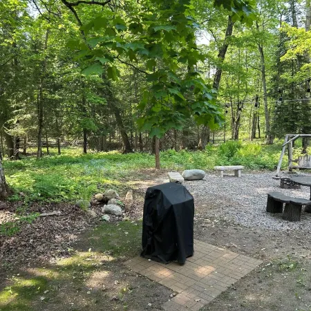 Bear's Den, A cozy 3-bedroom cabin in mature woods on Neebish Island with WiFi