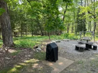 Bear's Den, A cozy 3-bedroom cabin in mature woods on Neebish Island with WiFi