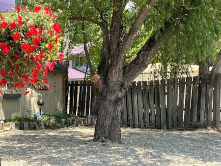 Downtown Dolores Colorado w/River Access - Stay at Cozy Comfort Inn, Dolores, CO