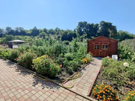 New owner! Rooms in natural resort Ocna Sibiului, Transylvania, Romania Отели в г. Окна-Сибиулуй