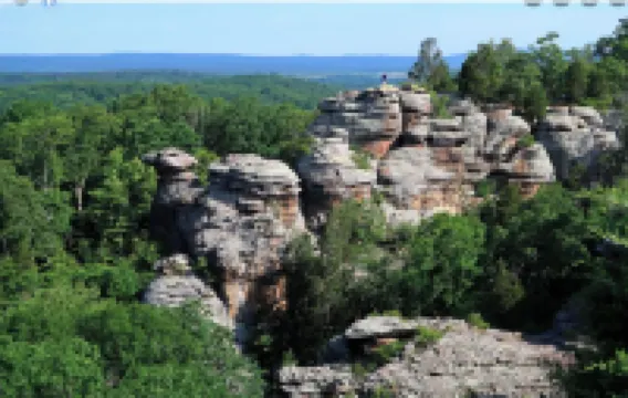 A Wonderful 3 Bedroom House Close to the Shawnee National Forest !