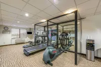 컴포트 스위트 시카고 오헤어 에어포트 - 피트니스 시설