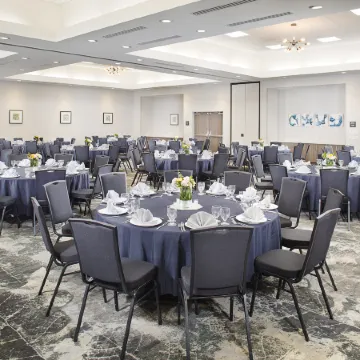 Hilton Garden Inn Dallas/Arlington South