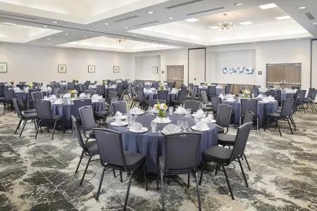 Hilton Garden Inn Dallas/Arlington South