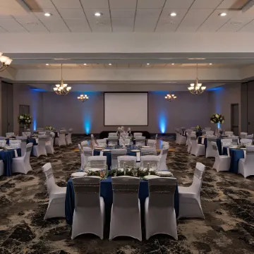 Hilton Garden Inn DFW Airport South