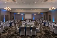 Hilton Garden Inn DFW Airport South