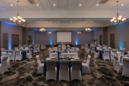 Hilton Garden Inn DFW Airport South Отели рядом со станцией Trinity Rail Express - CentrePort/DFW Airport Station