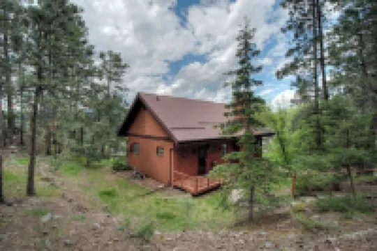 Cliffside Cabin Amongst Trees, Serene w/ Views. Hotels in Mount Rushmore UT