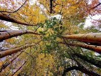 Eagle River Grand Suites 이글 리버 호텔