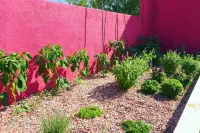 Magnificent villa with view, heated pool Hotels in Vendres