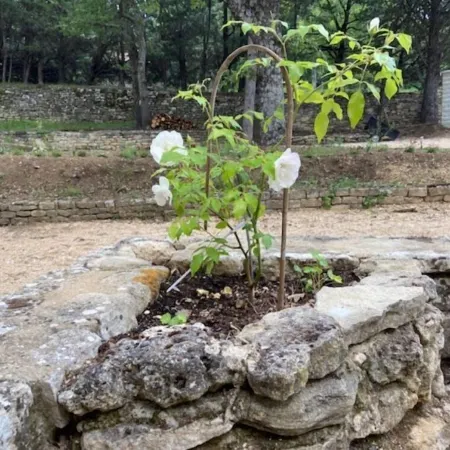 Ravissant Mas à Saignon Très Confortable, Piscine, Grand Parc, Animaux Acceptés